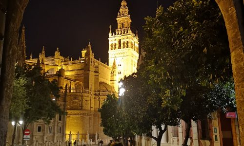 IMG_20210830_215325